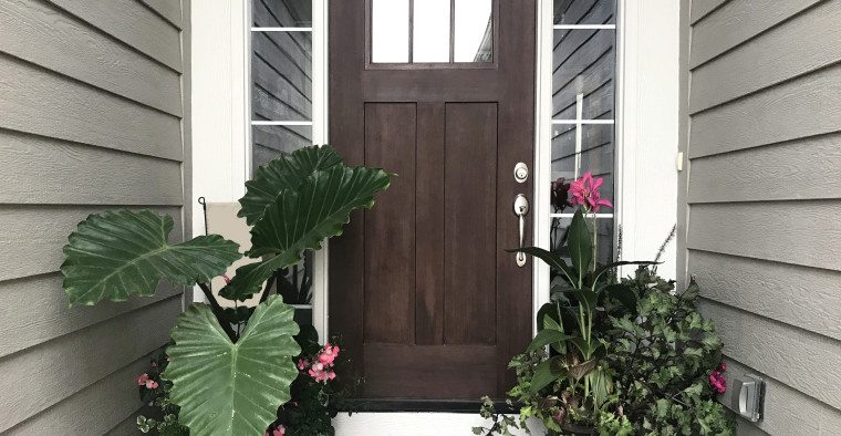 plant decor front door
