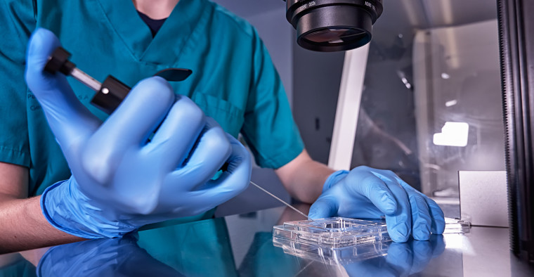 IVF process in laboratory