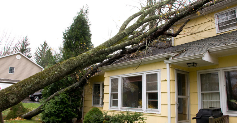 A fallen tree on a house.