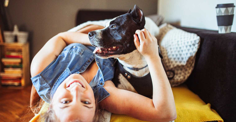 relaxing with pit bull on couch