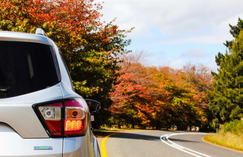 The Avis Preferred Car Rental Program Ultimate Guide