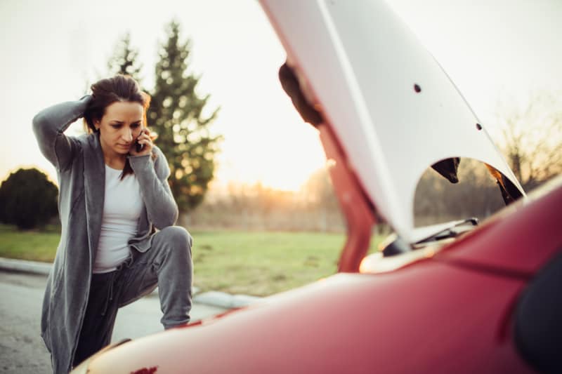 Are Rodents Chewing Wires Covered By Car Insurance Valuepenguin