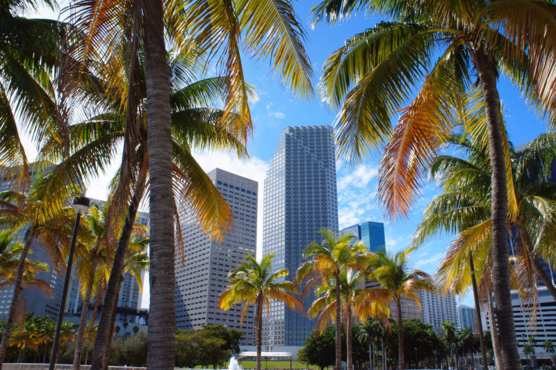 Best Banks in Florida 2019 - ValuePenguin
