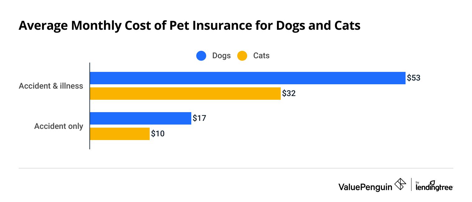 How Much Does Pet Insurance Cost In January 2024?