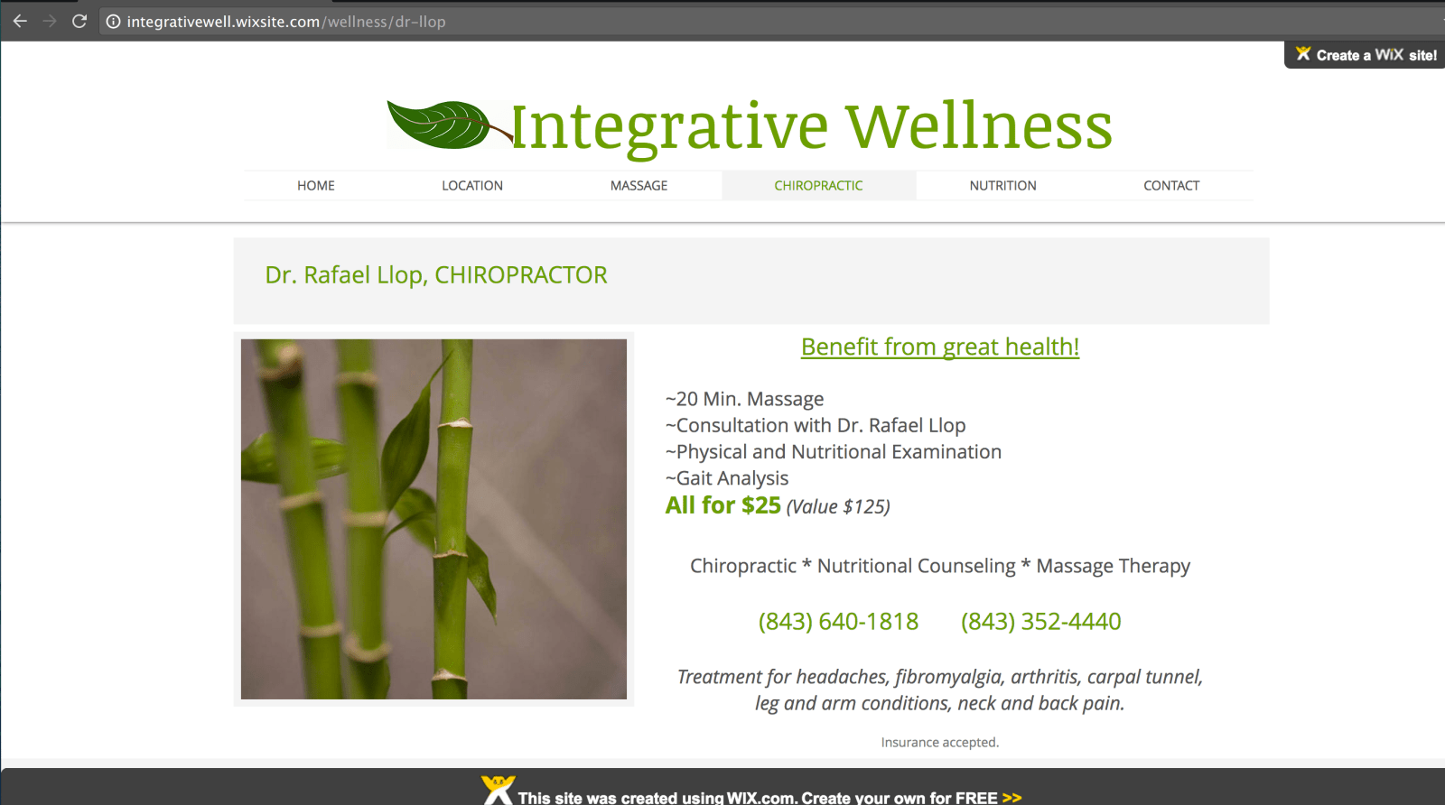 Example of Free Wix Site With Ads