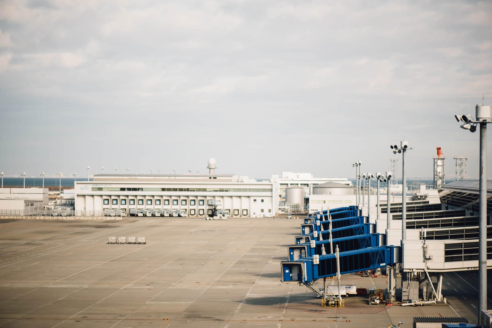Spirit Airlines Rewards Program Everything You Need To Know