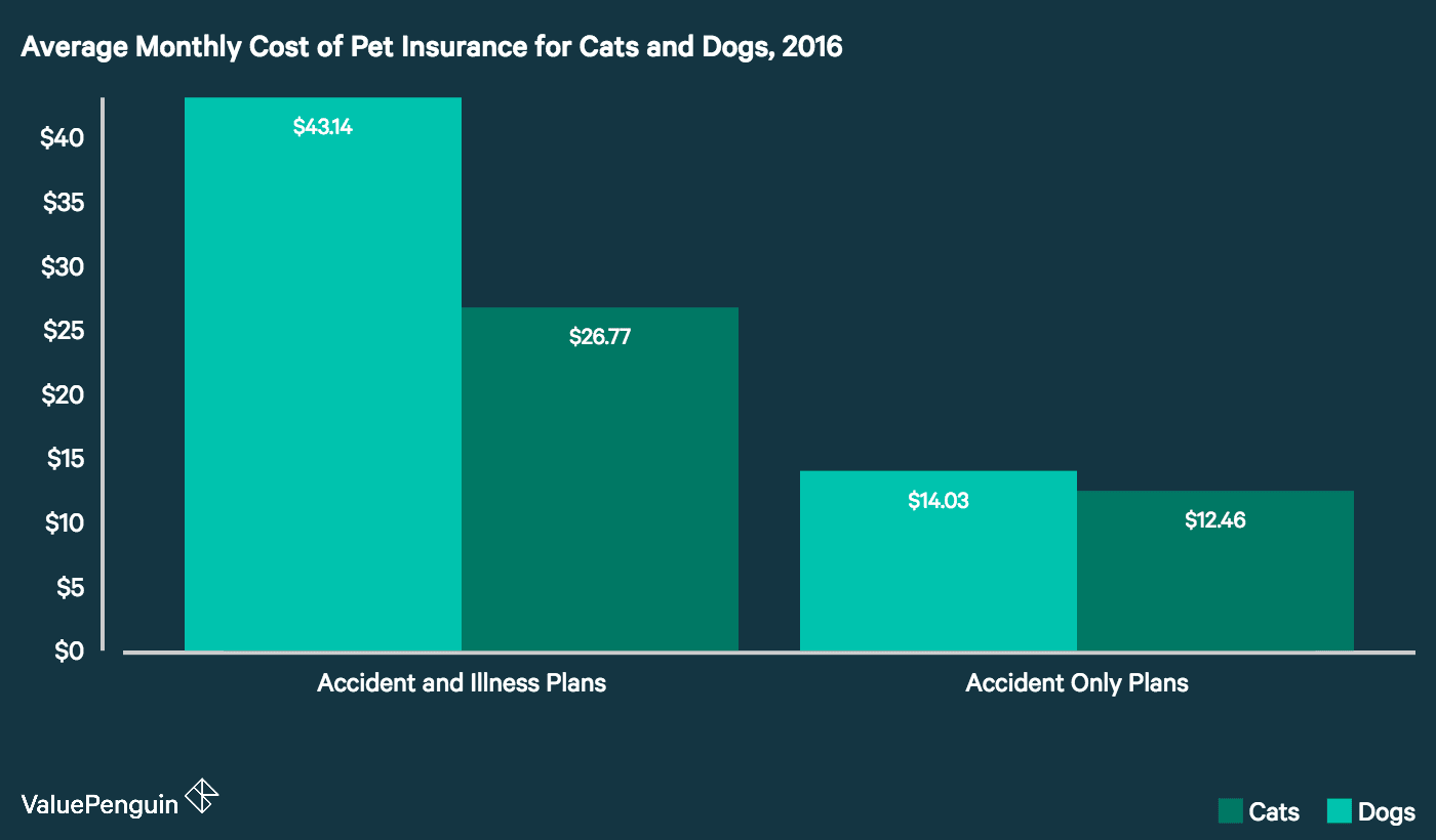 average-cost-of-pet-insurance-2018-facts-and-figures-valuepenguin