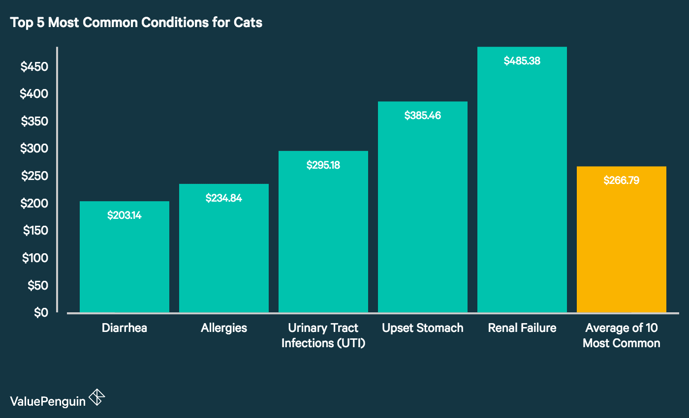 Average Cost of Pet Insurance 2019 Facts and Figures ValuePenguin