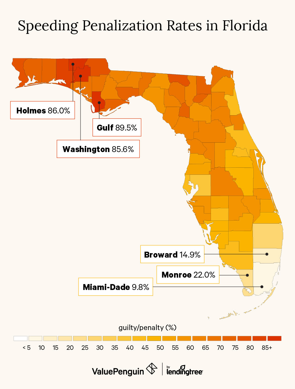 Pay Miami Dade Red Light Camera Ticket Shelly Lighting
