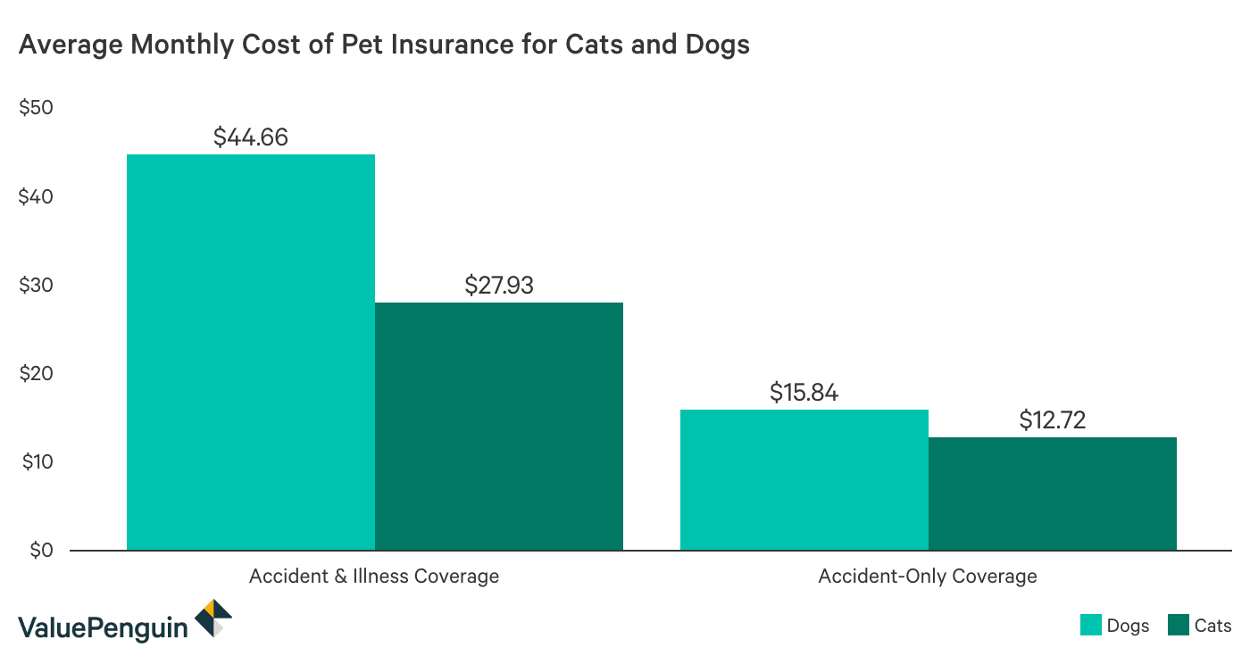 Average Cost of Pet Insurance: 2019 Facts and Figures - ValuePenguin