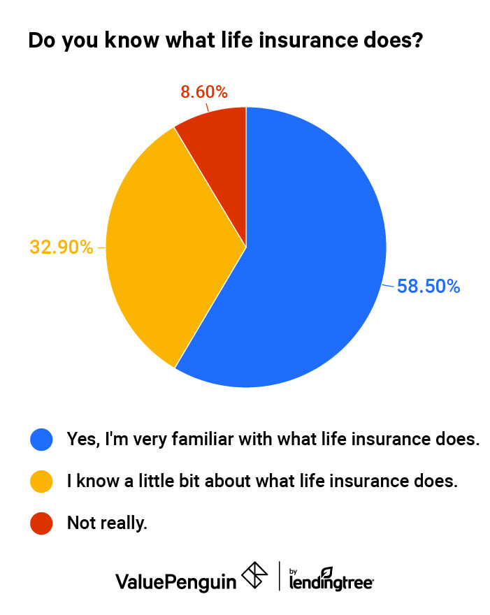 Pie chart of consumer responses about how well they understand life insurance