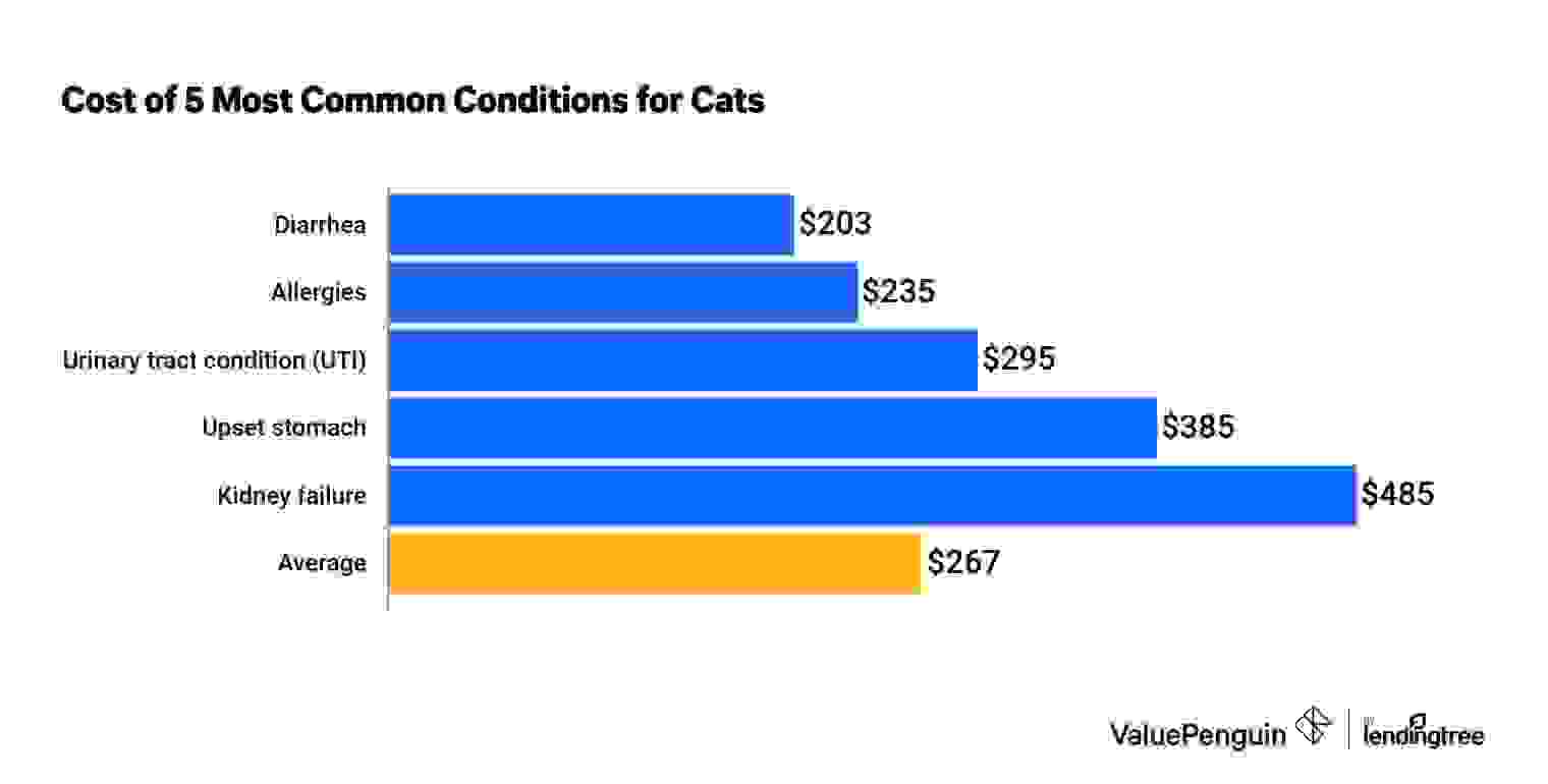 Cost of top five most common cat conditions