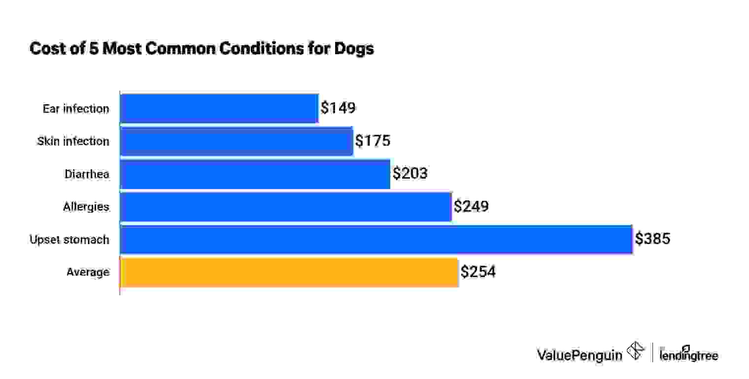 Cost of top five most common dog medical conditions