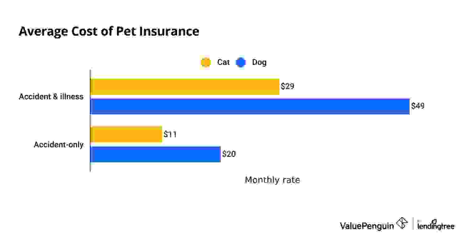 Graph showing average monthly cost of insuring dogs ($49) and cats ($29)
