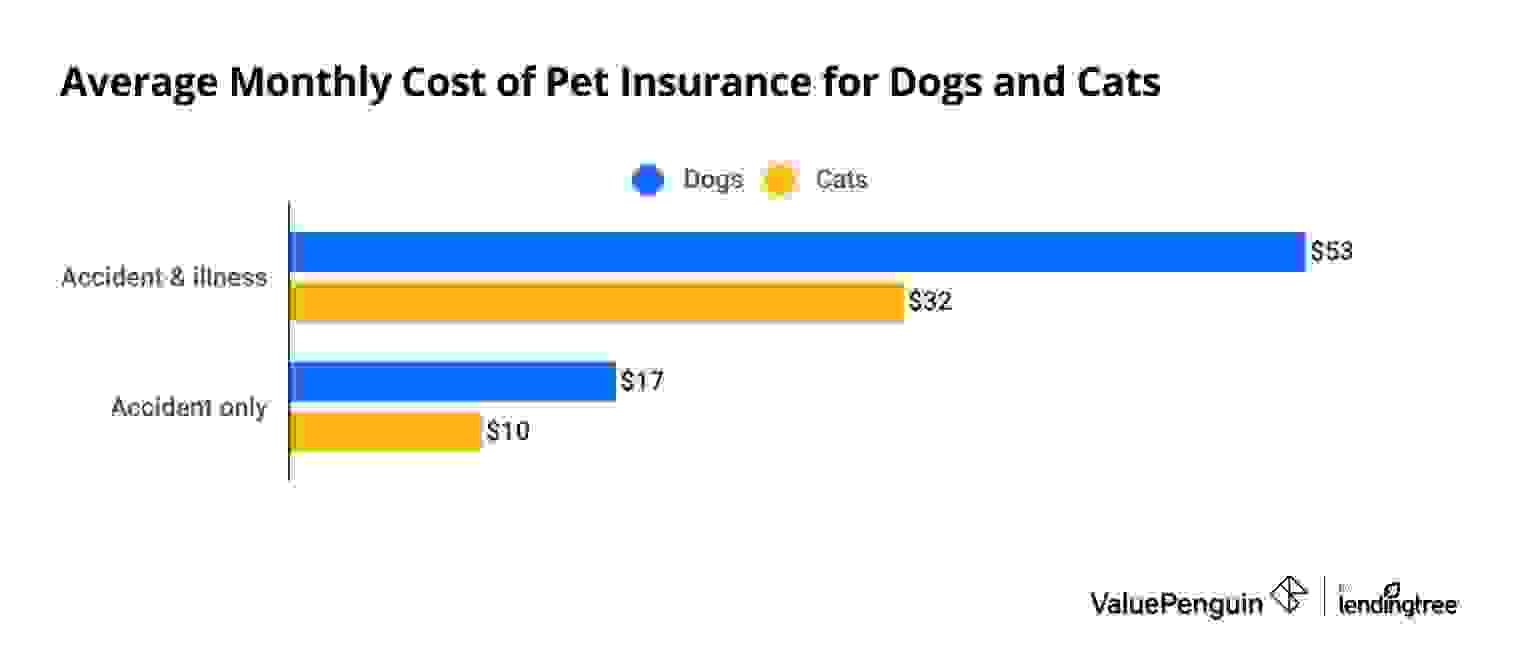 Average cost of pet insurance for cats and dogs