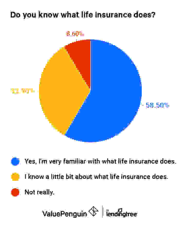 Pie chart of consumer responses about how well they understand life insurance