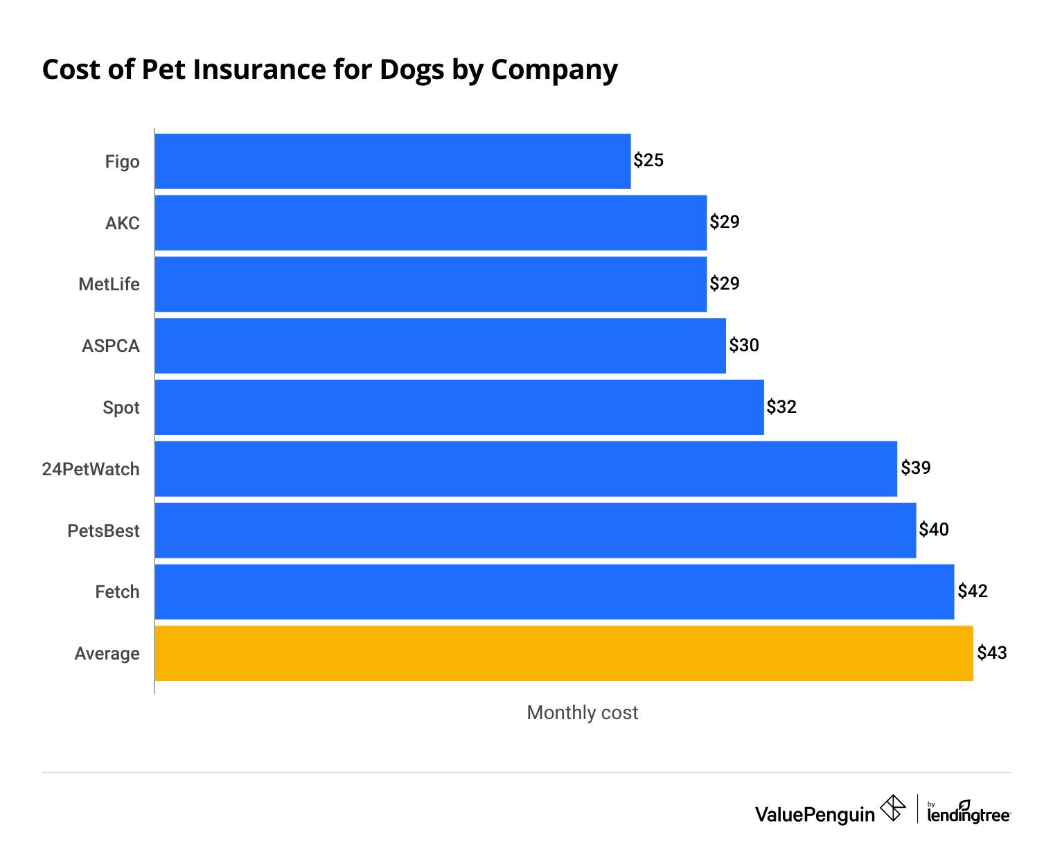 How Much Does Pet Insurance Cost a Month  