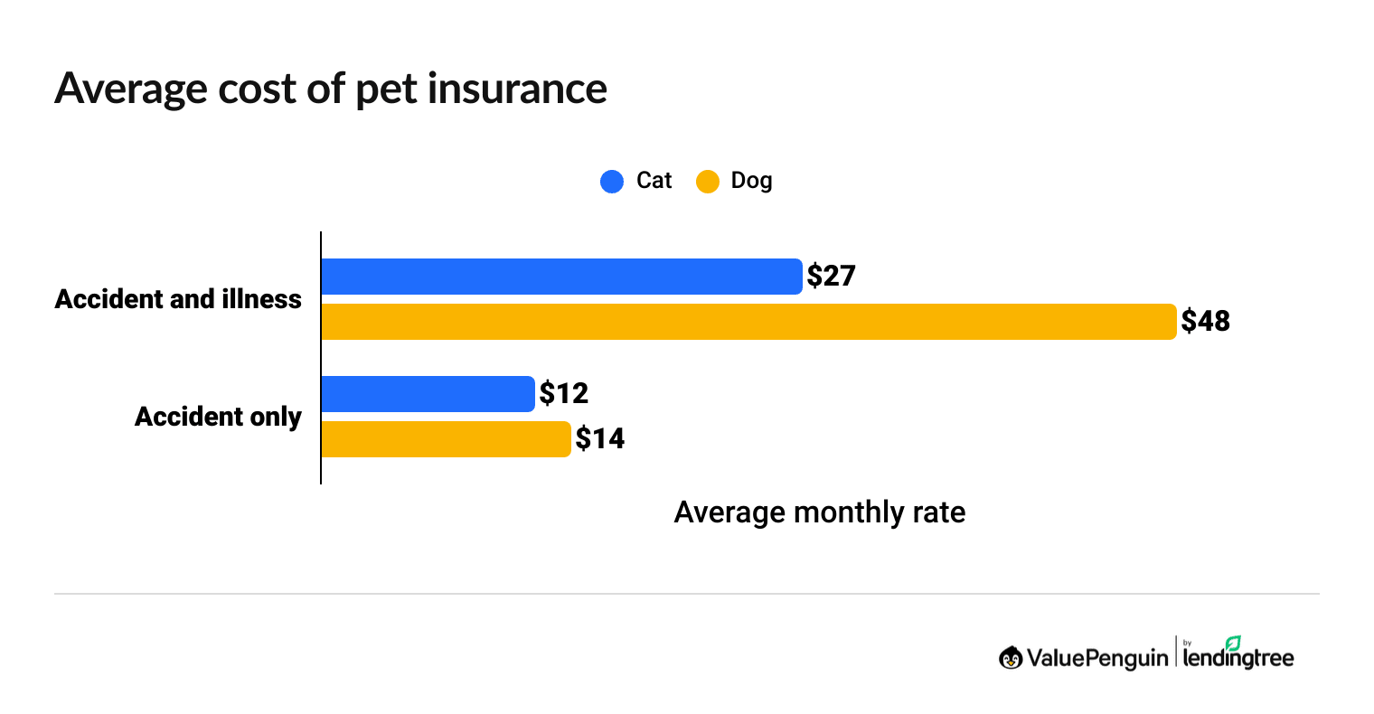 Average cost of pet insurance for cats and dogs