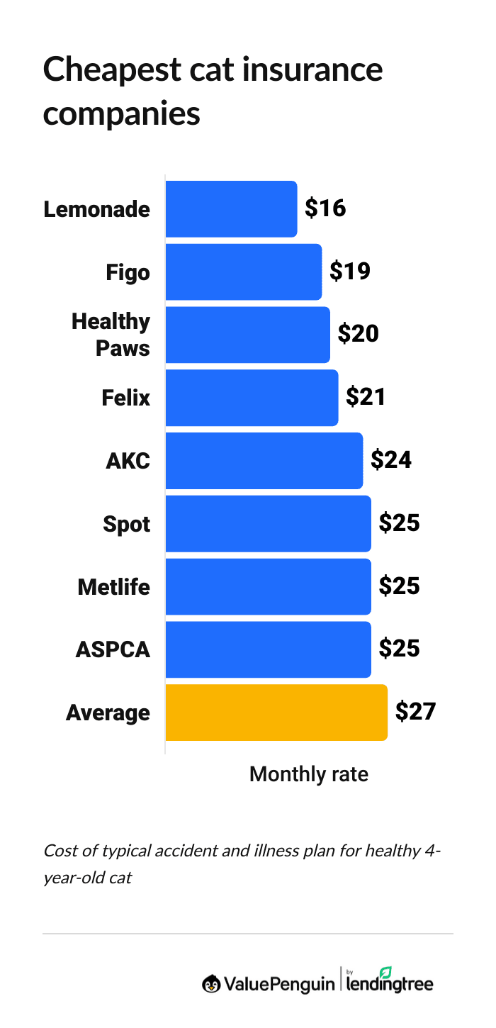 Average monthly cost of cat insurance