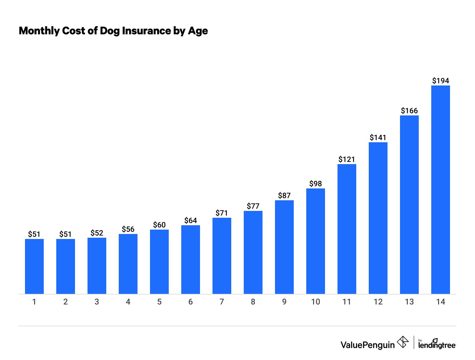 How dog insurance rates change as a dog ages