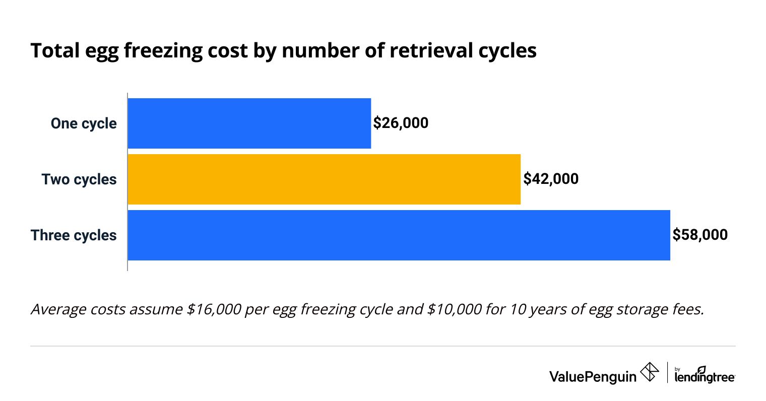 This chart compares the total cost of freezing eggs by the number of retrieval cycles.