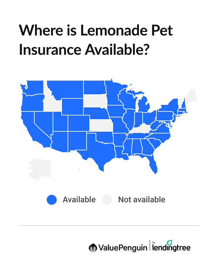 Where is Lemonade pet insurance available?