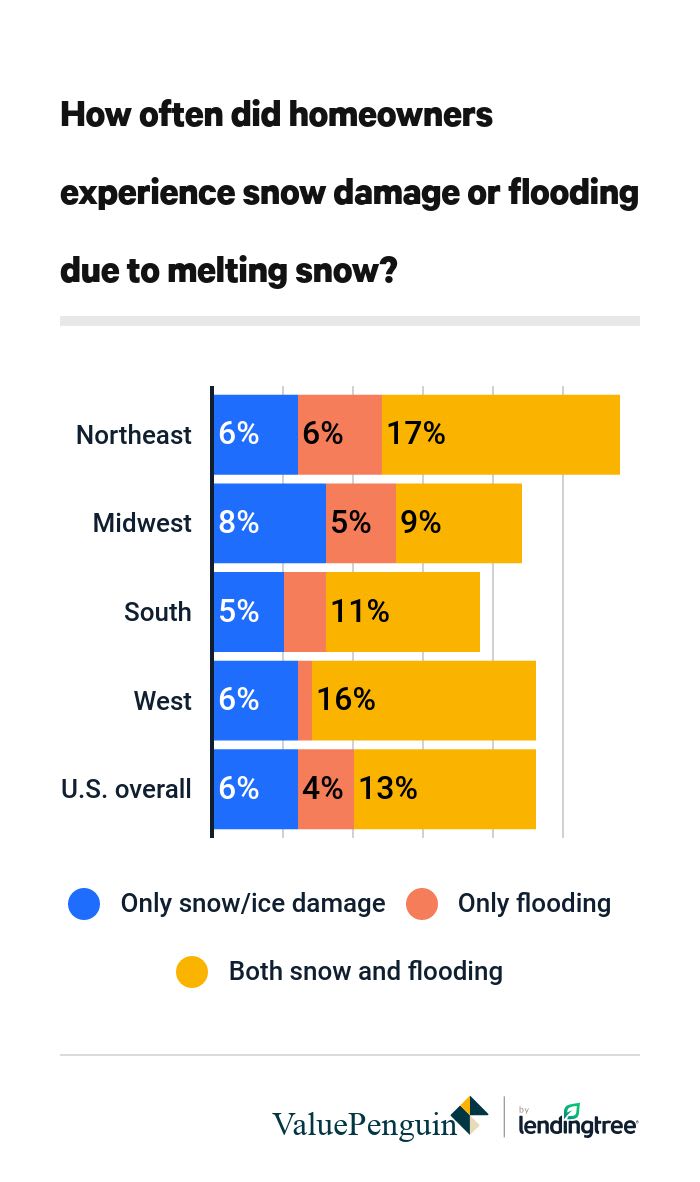 Winter Weather - snow damage flooding