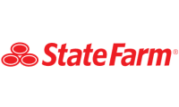 state farm icon