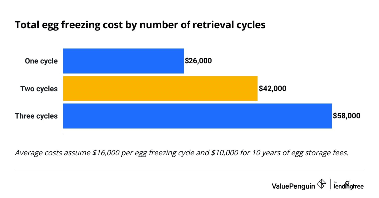 This chart compares the total cost of freezing eggs by the number of retrieval cycles.