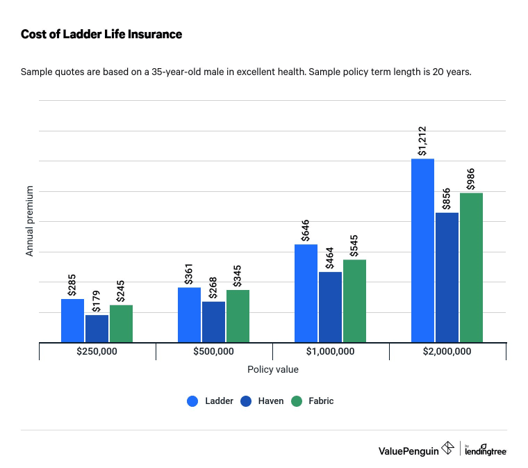 Ladder term life insurance costs