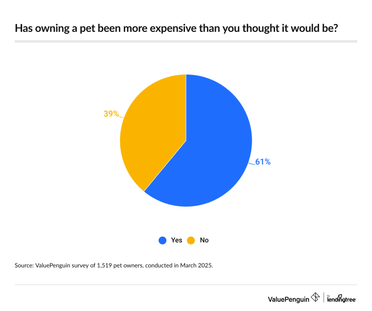 61% of pet owners say owning a pet has been more expensive than they thought it would be.