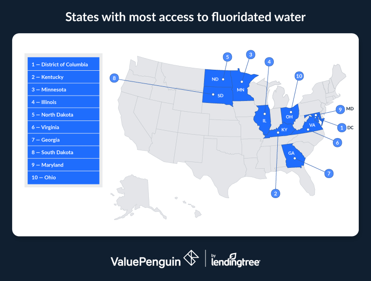 The District of Columbia has the highest access to fluoridated water.