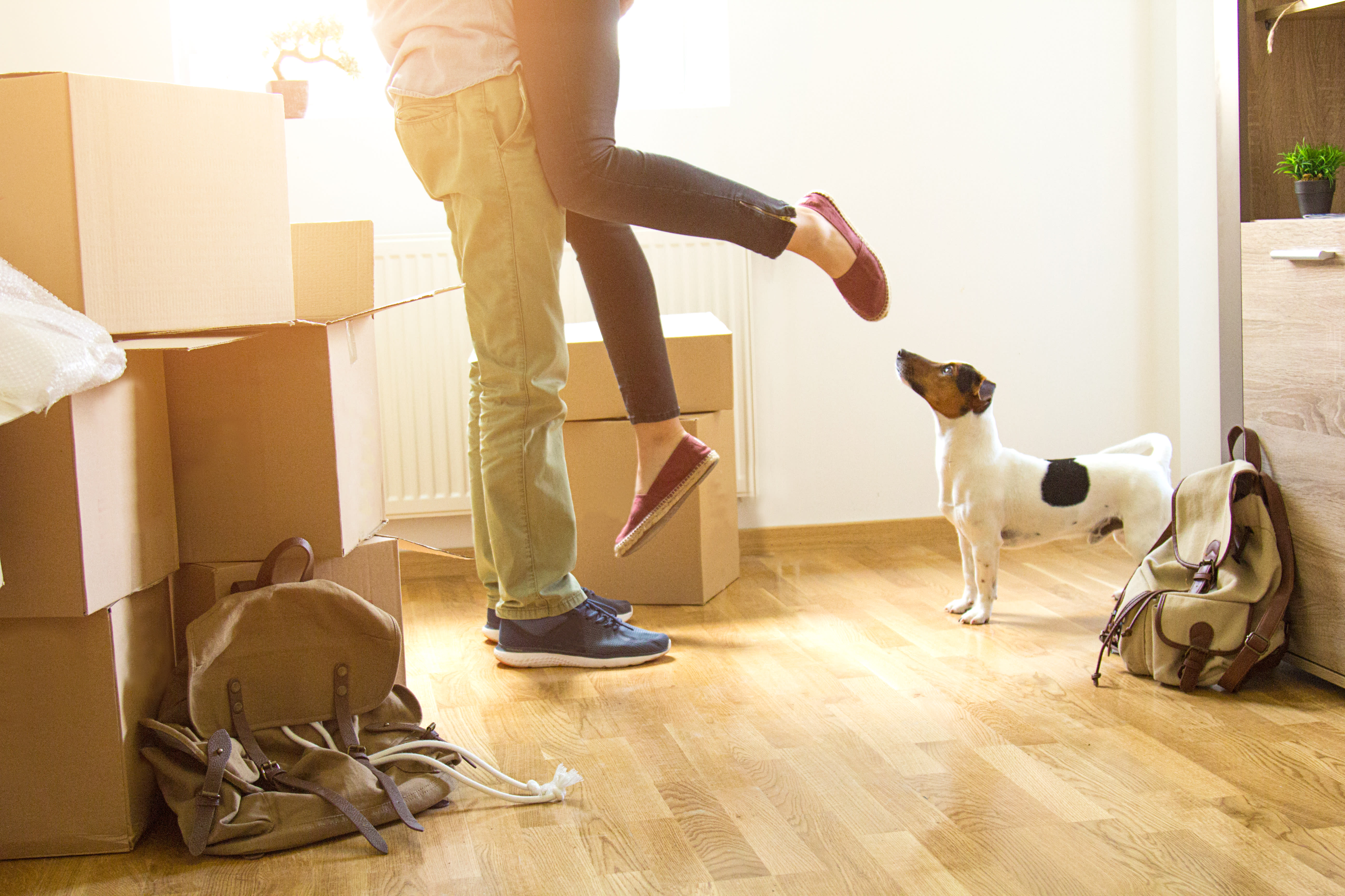 How to Get Pet Liability Coverage with Renters Insurance ValuePenguin