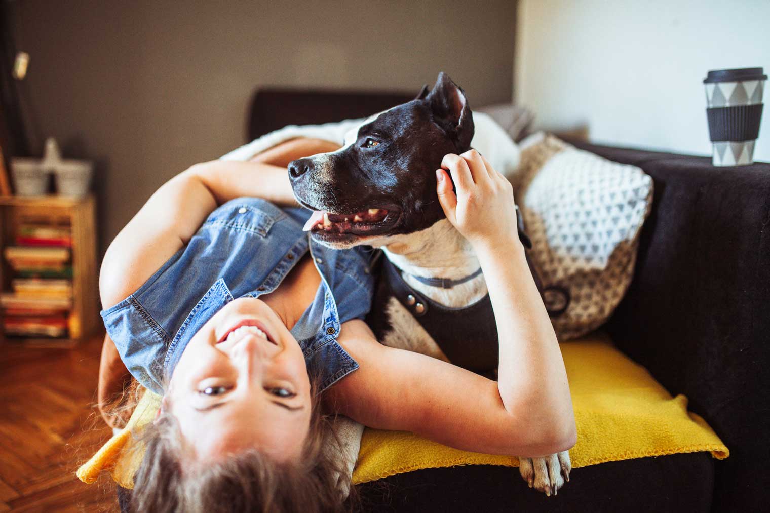 How to Get Home or Renters Insurance with a Pit Bull ValuePenguin