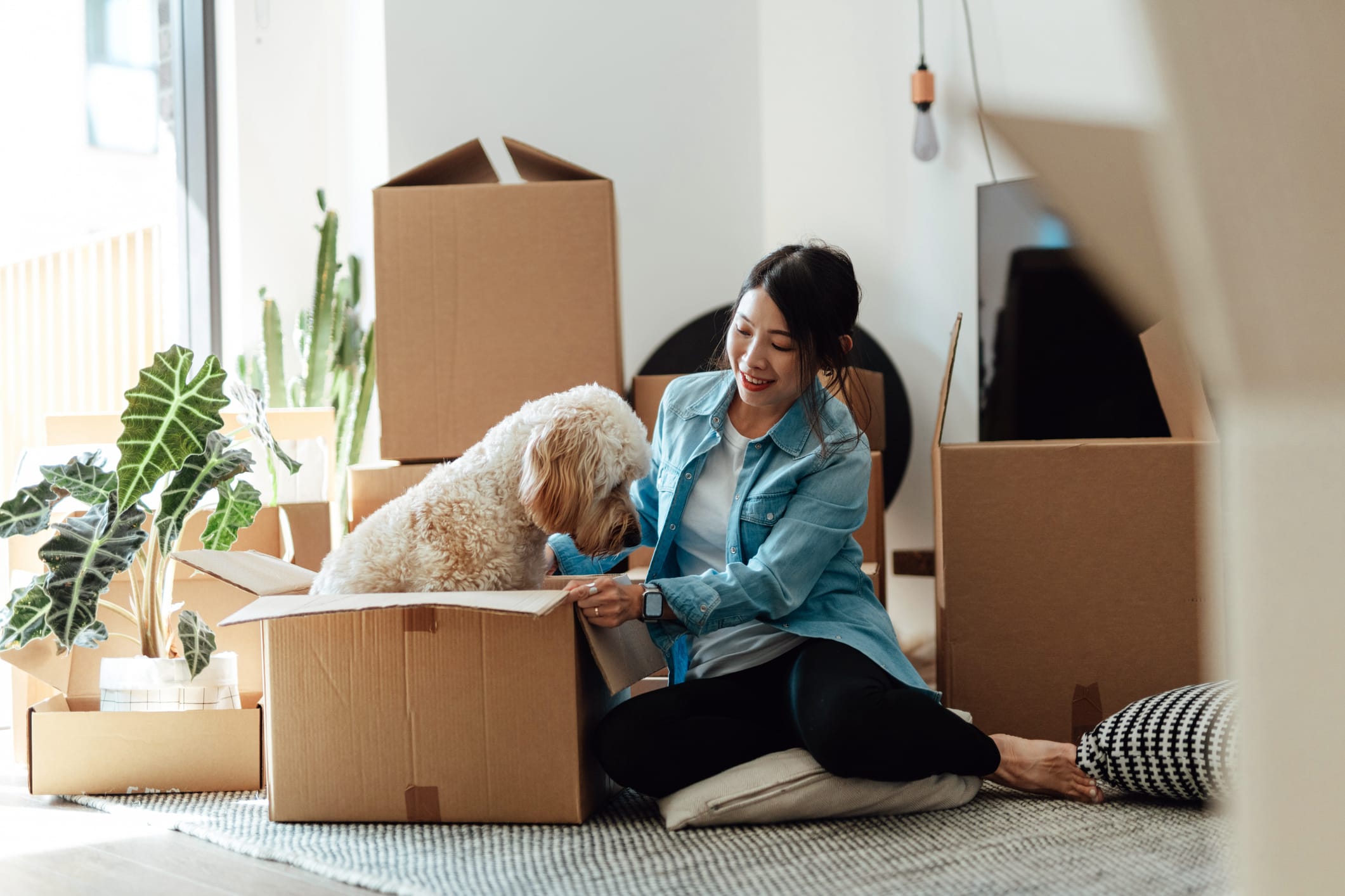 Best and Cheapest Home Insurance Companies in Indiana for 2026 ...