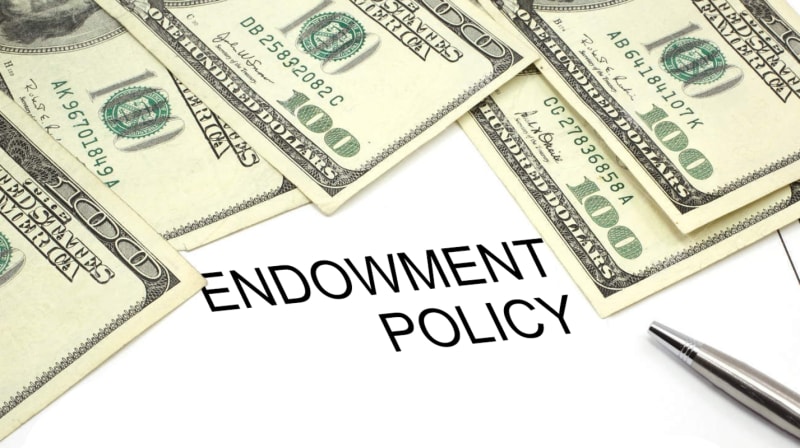 Endowment Insurance