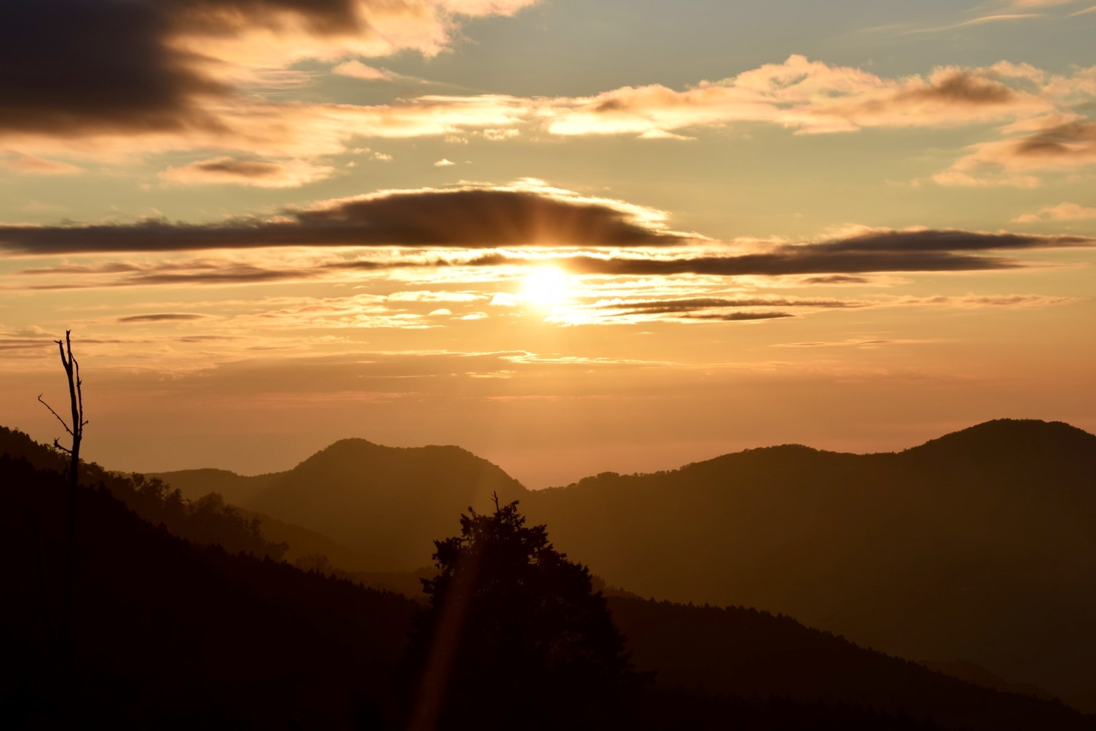 taiwan travel Alishan National Scenic Area