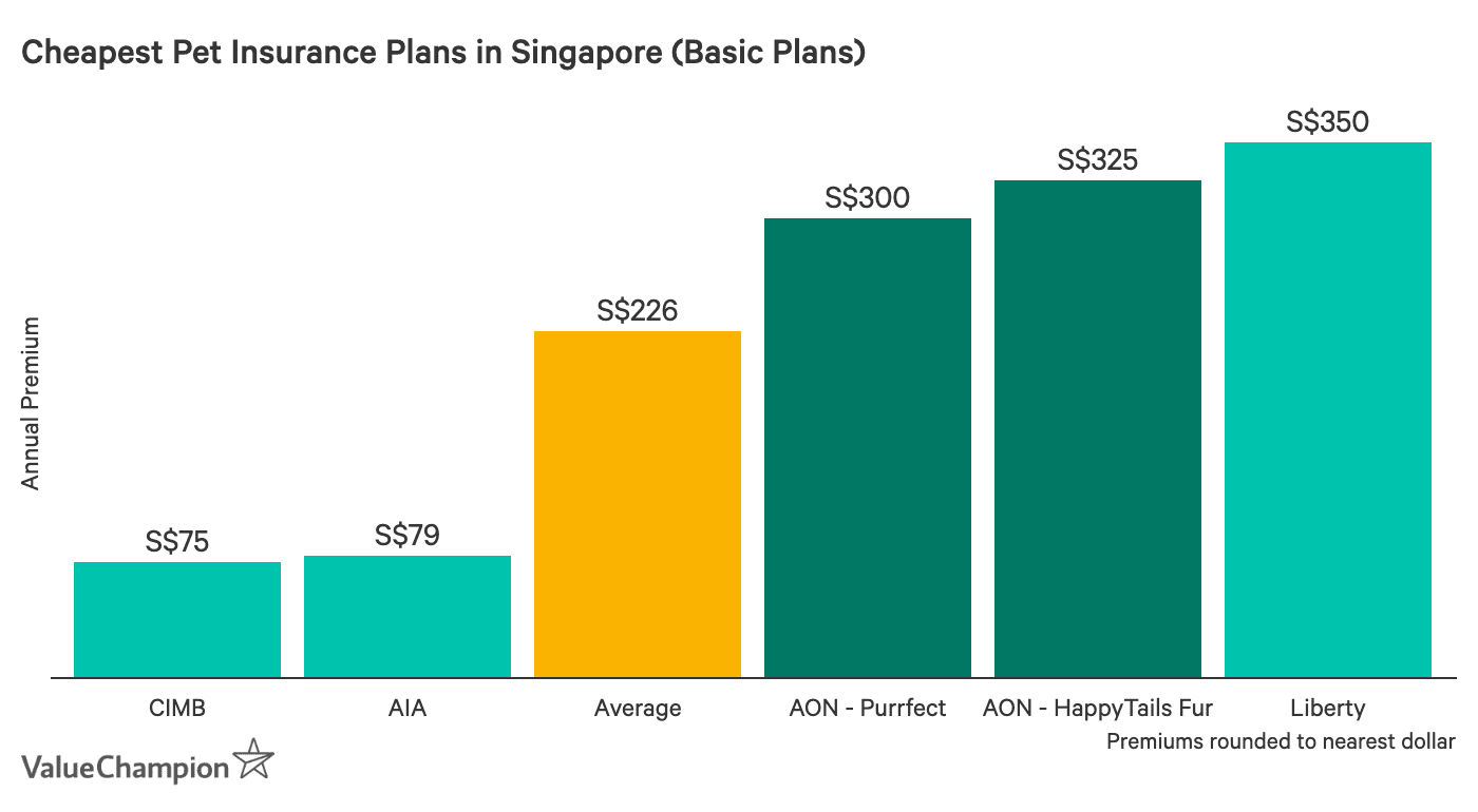 Pretected Car Insurance Reviews / 10 Mistakes You Need To