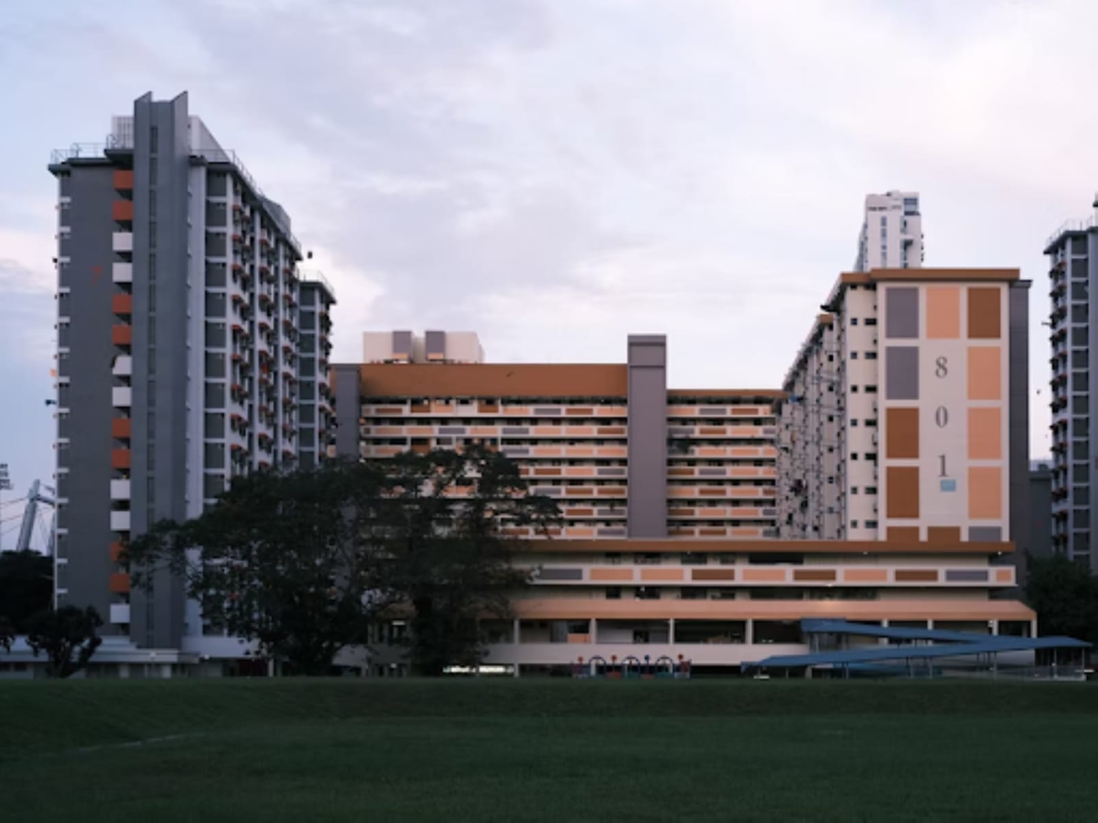 HDB field