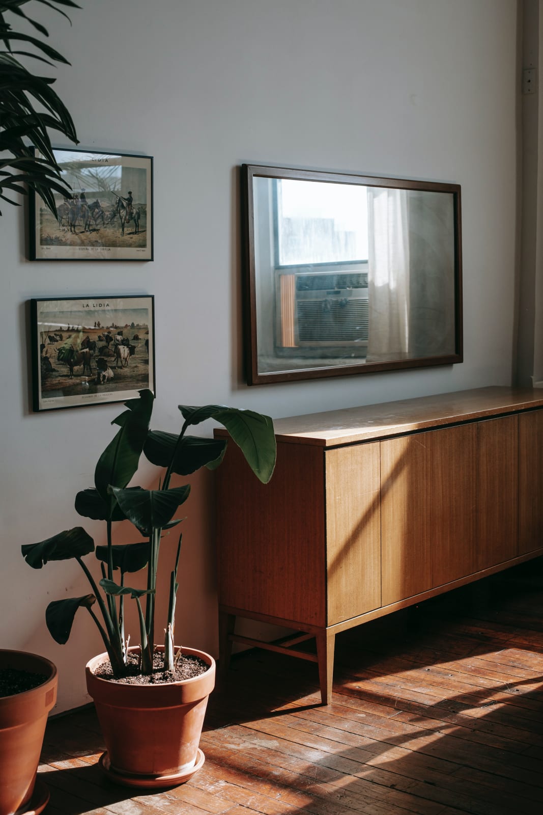 living room natural light