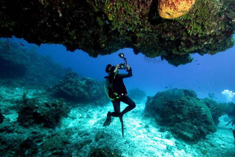 Singapore is near the Coral Triangle, which is known for having some of the world’s best dive spots