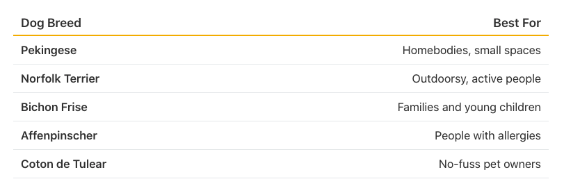 Table listing 5 picks for dogs alternatives to popular breeds, based on lifestyle.