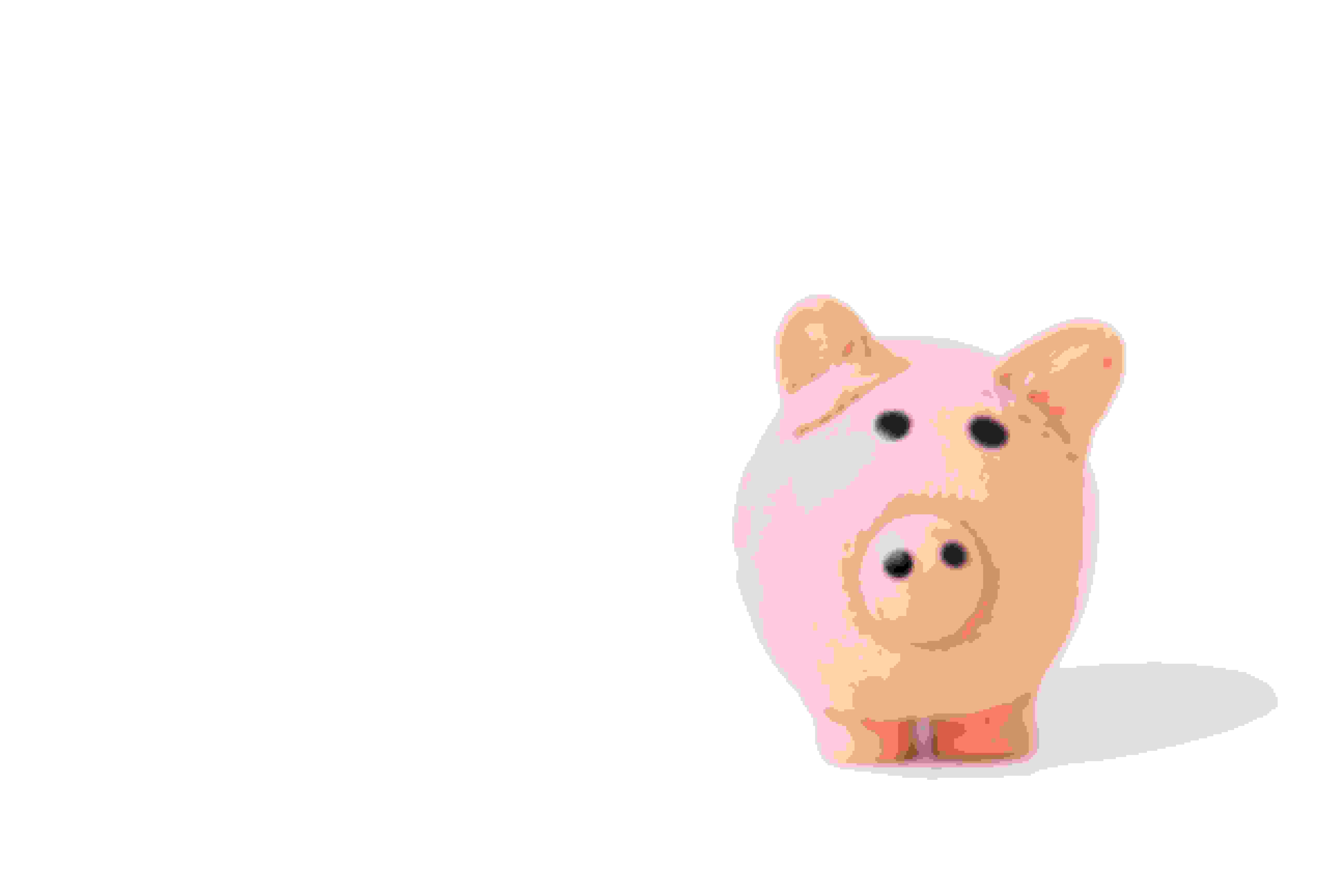 piggy bank in fornt of a white background