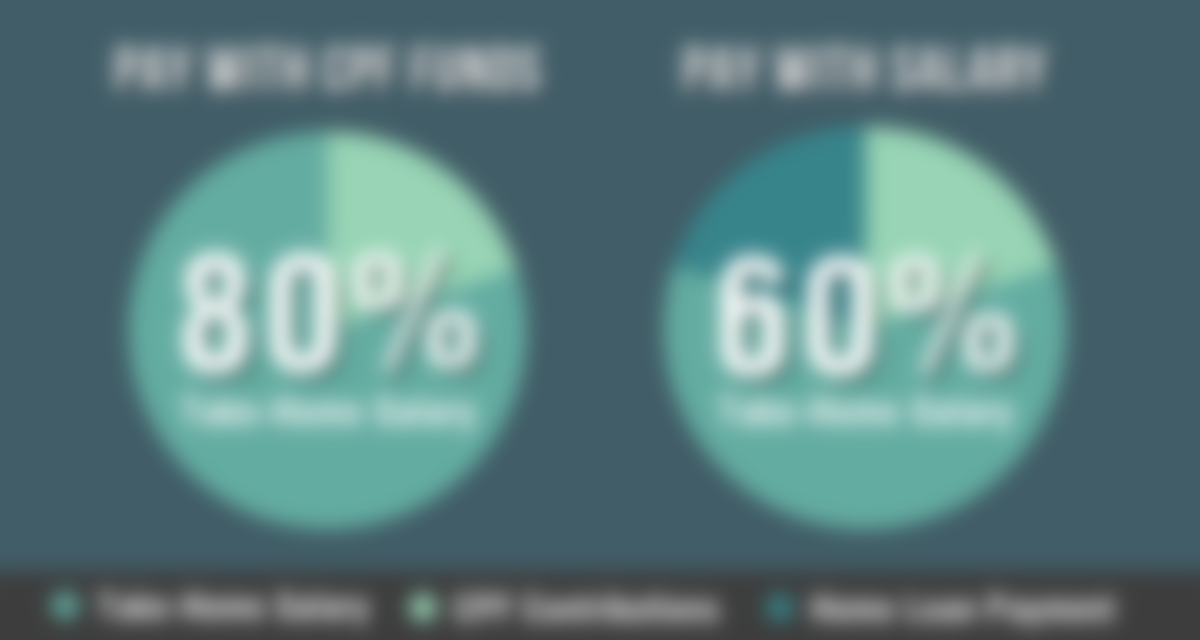 Pie charts of take-home salary