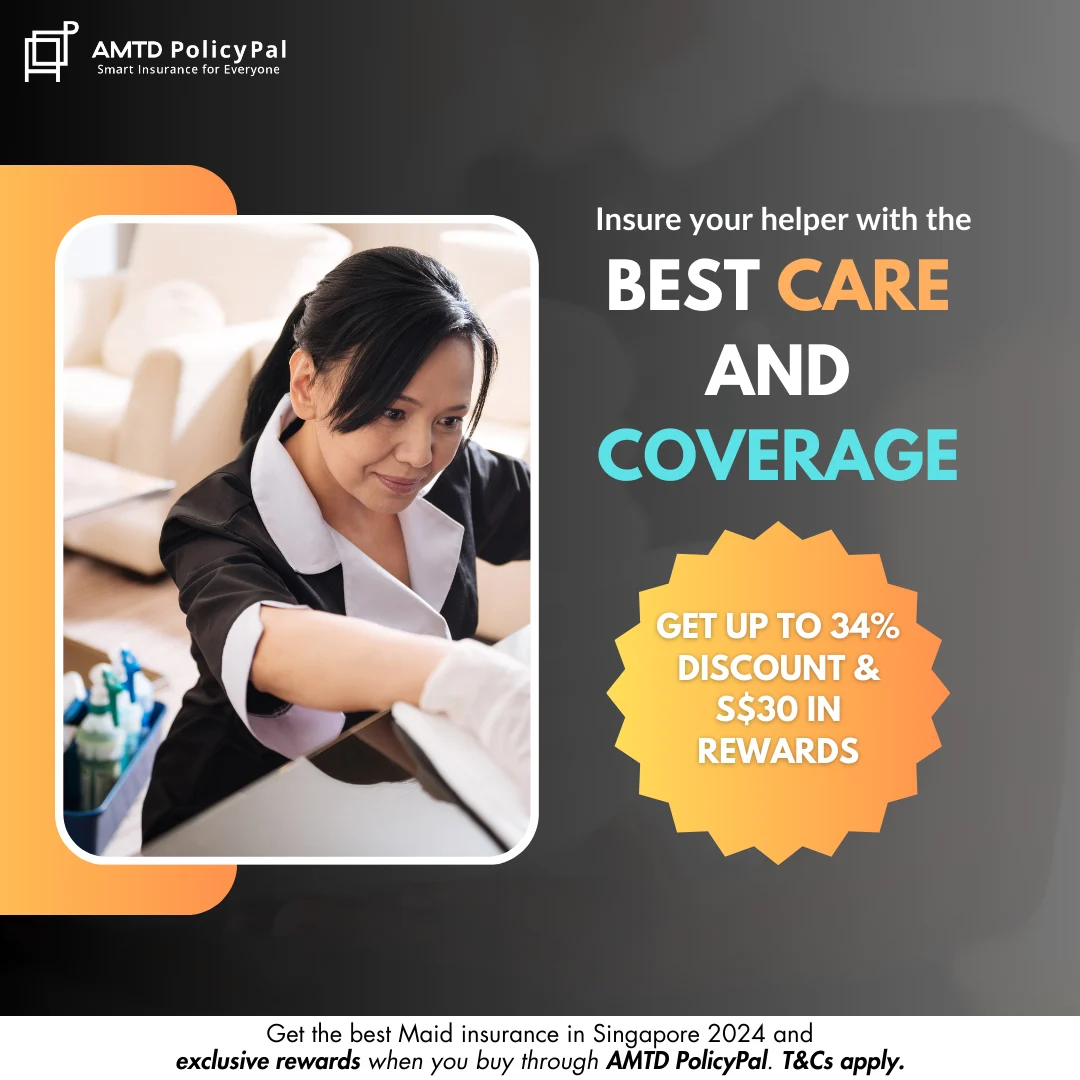 Maid Insurance Promotions