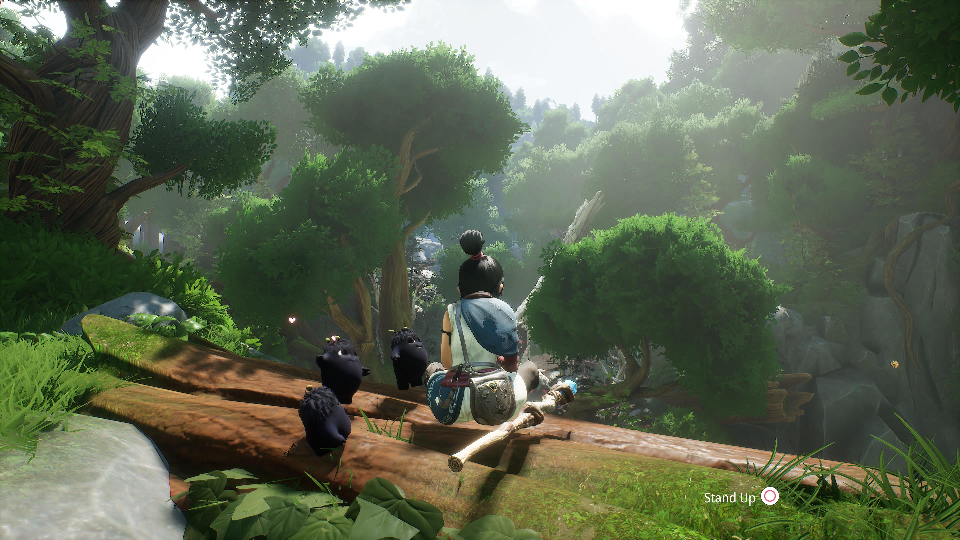 420AB9B0-38AB-4396-855B-0D3F05C60AA0_bag