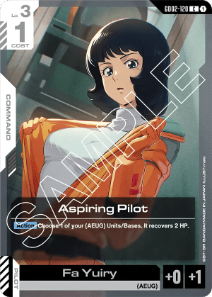 Aspiring Pilot