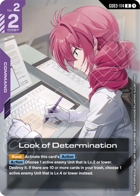 Look of Determination (Holofoil) (114) — Promotion Cards