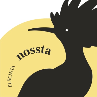 Nossta