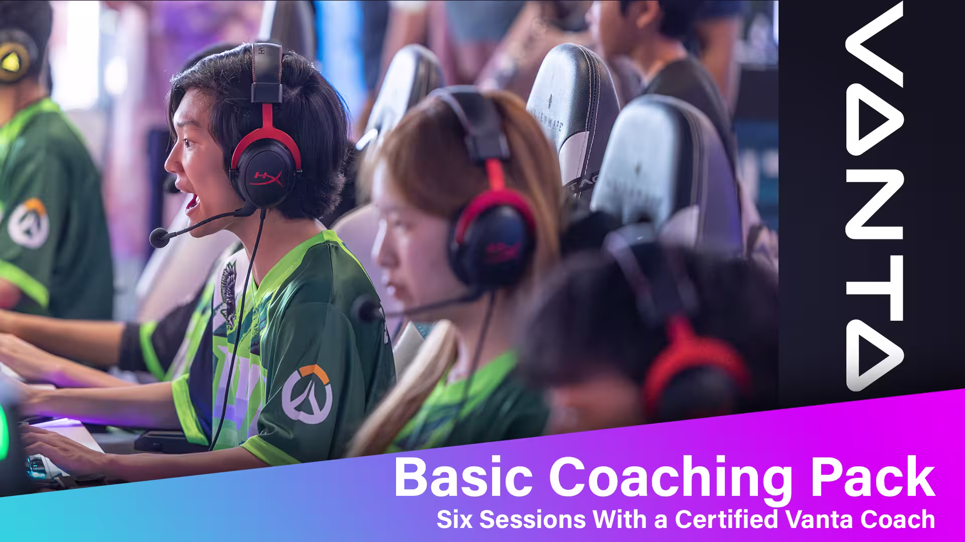 Basic Coaching Pack cover image